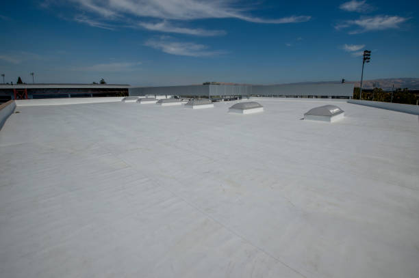 Best Sheet Metal Roofing  in Richmond, KY