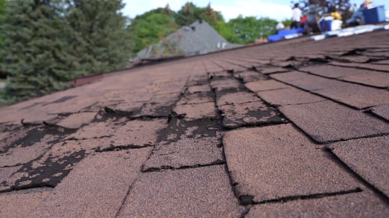 Best Roof Maintenance and Cleaning  in Richmond, KY